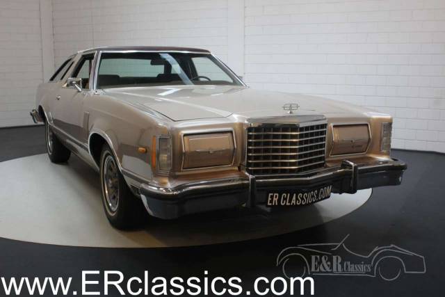 Image 1/30 of Ford Thunderbird (1978)