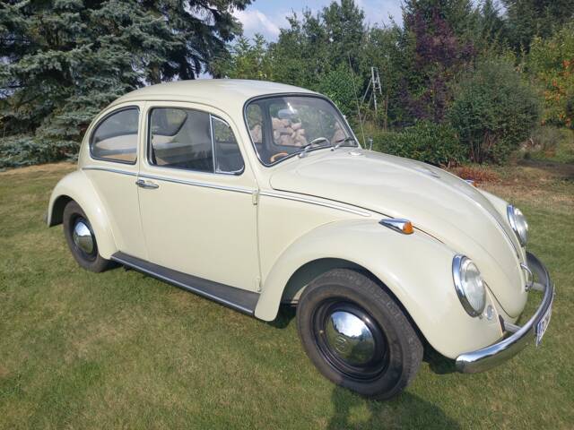 Image 1/137 of Volkswagen Beetle 1200 (1965)