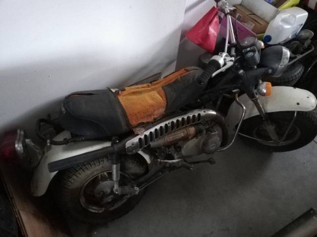 Bild 1/9 von Suzuki DUMMY (1982)