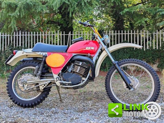 Immagine 1/20 di DKW 250 GS Regolarità (1976)
