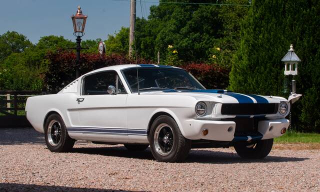 Image 1/54 of Ford Shelby GT 350 (1965)