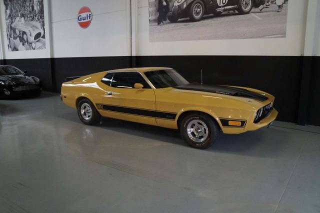 Bild 1/50 von Ford Mustang Mach 1 (1973)