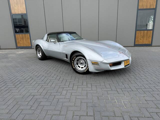 Afbeelding 1/18 van Chevrolet Corvette Sting Ray (1980)