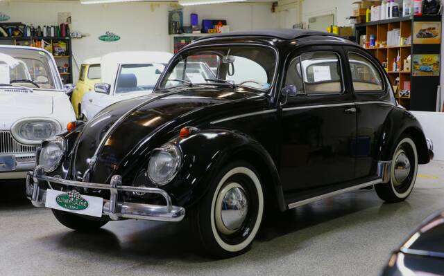 Image 1/22 of Volkswagen Beetle 1200 Export &quot;Dickholmer&quot; (1958)