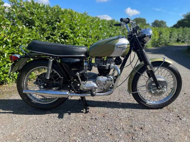 Image 1/35 of Triumph TR 6 Trophy &#x2F; Tiger (1970)