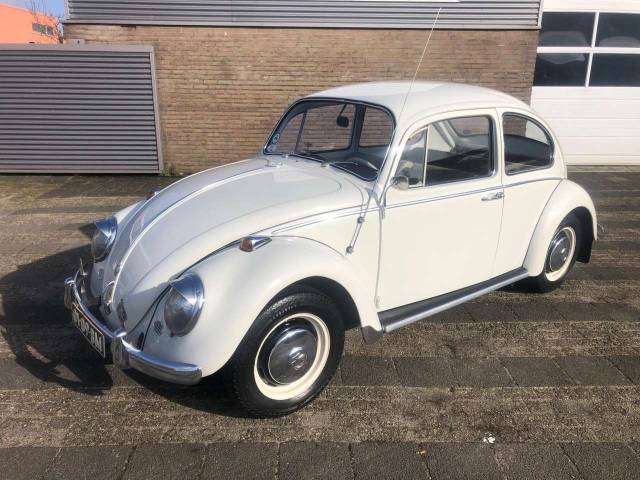 Immagine 1/33 di Volkswagen Maggiolino 1200 (1966)