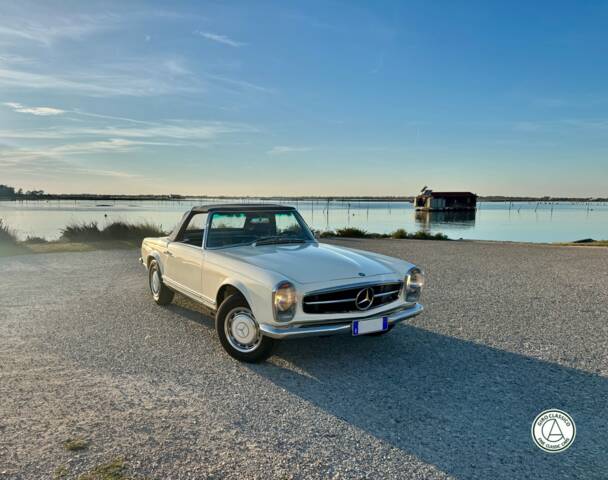 Image 1/37 of Mercedes-Benz 250 SL (1967)