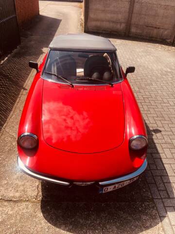 Bild 1/16 von Alfa Romeo 2000 Spider Veloce (1979)