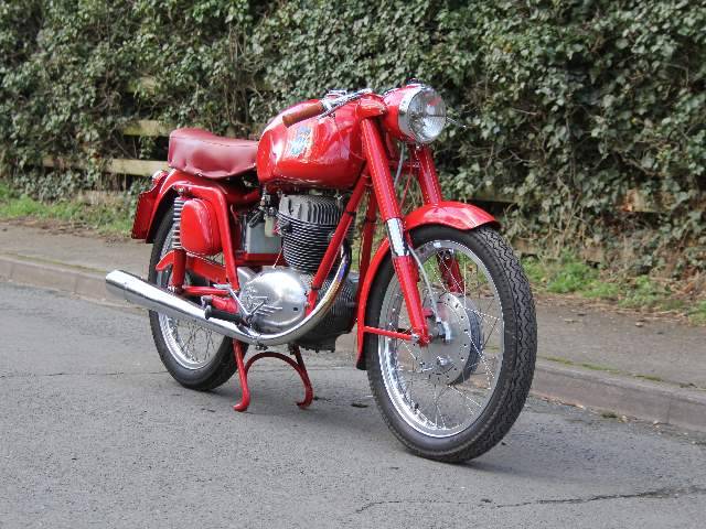 Bild 1/13 von MV Agusta DUMMY (1957)