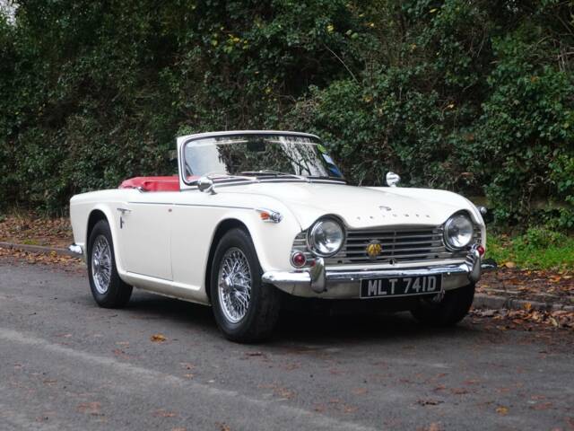 Bild 1/19 von Triumph TR 4A (1966)