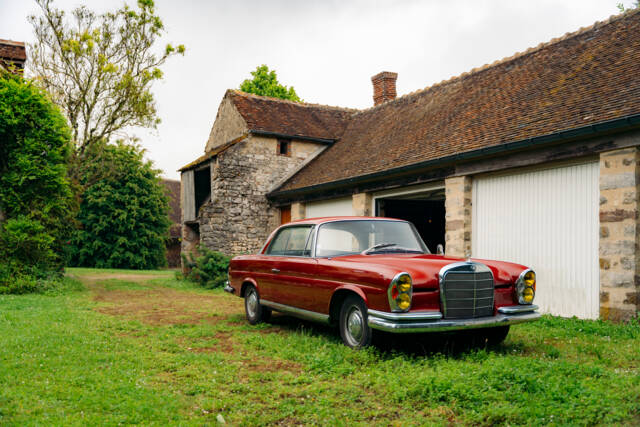 Image 1/99 de Mercedes-Benz 250 SE (1967)