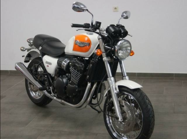 Bild 2/6 von Triumph T309RT Thunderbird (2000)