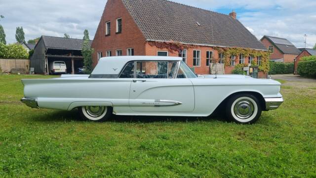 Afbeelding 1/22 van Ford Thunderbird (1959)