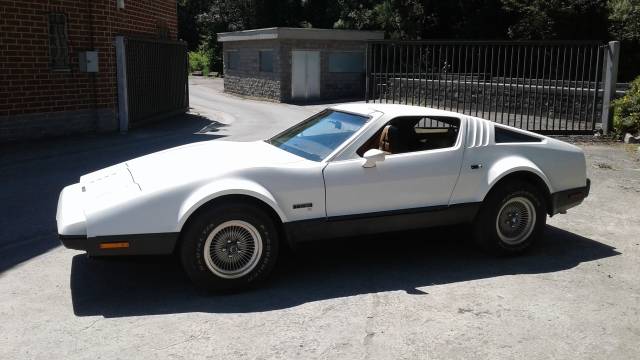 Image 1/20 de Bricklin SV-1 (1975)