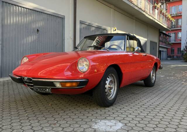 Bild 1/50 von Alfa Romeo Spider 1300 Junior (1973)