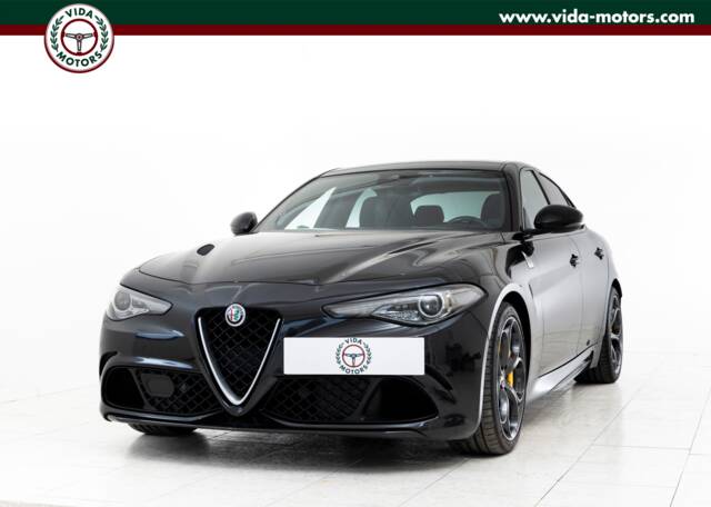 Bild 1/15 von Alfa Romeo Giulia Quadrifoglio (2017)