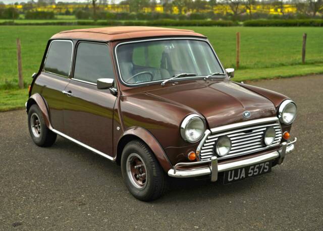 Image 1/50 de Leyland Mini 1275 Wood & Pickett (1976)