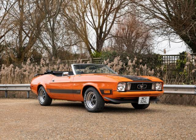 Image 1/15 of Ford Mustang 302 (1973)