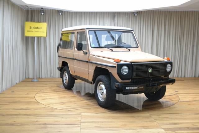 Imagen 1/15 de Steyr-Puch 230 GE (SWB) (1989)