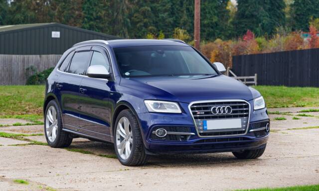 Bild 1/50 von Audi SQ5 TDI (2014)