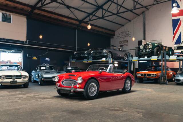 Bild 1/39 von Austin-Healey 3000 Mk III (BJ8) (1967)