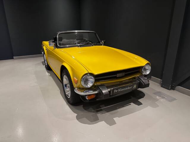 Image 1/70 of Triumph TR 6 PI (1976)