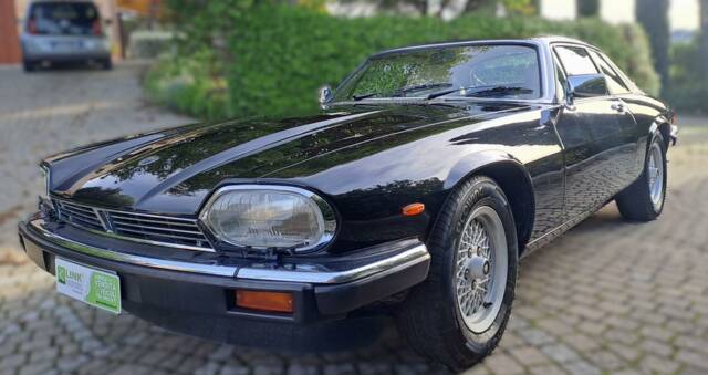 Image 1/40 of Jaguar XJ-S 3.6 (1987)