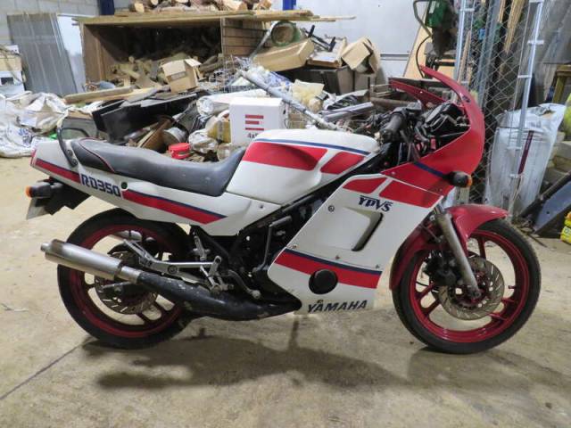 Bild 1/32 von Yamaha DUMMY (1988)
