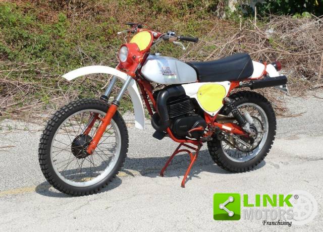 Bild 1/17 von Ducati 125 Scrambler (1977)