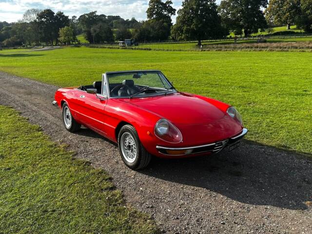 Bild 1/50 von Alfa Romeo 1750 Spider (1971)