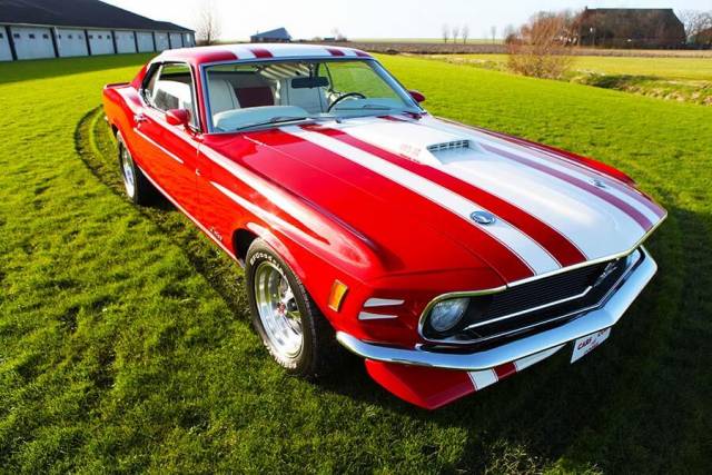 Bild 1/41 von Ford Mustang Mach 1 (1970)