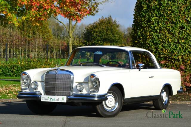 Image 1/50 de Mercedes-Benz 250 SE (1966)