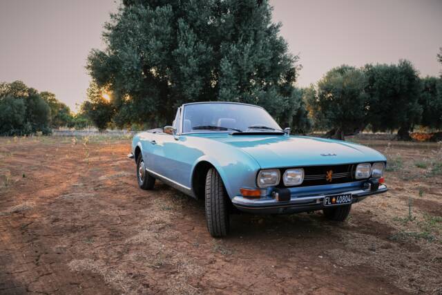 Imagen 1/40 de Peugeot 504 Convertible (1974)