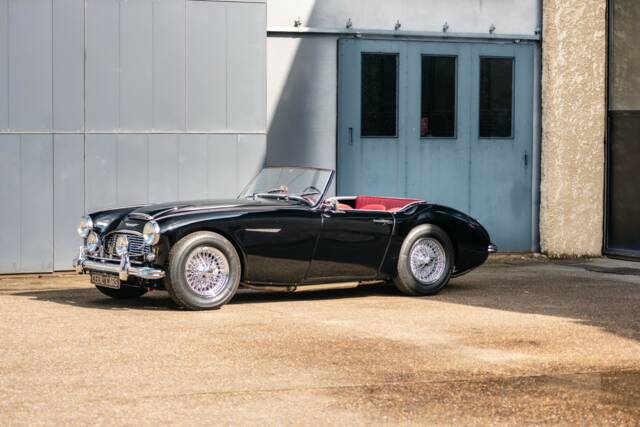 Bild 1/23 von Austin-Healey 3000 Mk I (BN7) (1962)