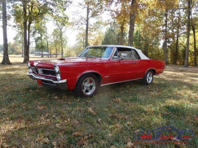 Bild 1/50 von Pontiac GTO Tri-Power (1965)