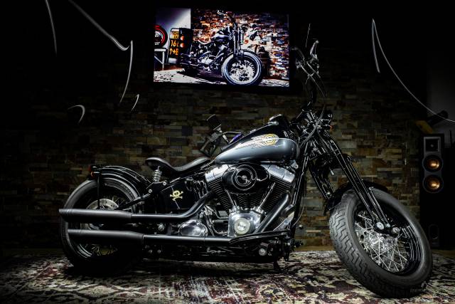 Bild 1/37 von Harley-Davidson DUMMY (2010)