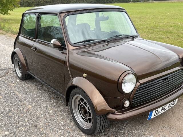 Image 1/22 of Austin Thirty (1990)