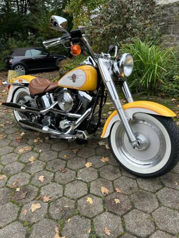 Image 1/13 de Harley-Davidson DUMMY (1994)