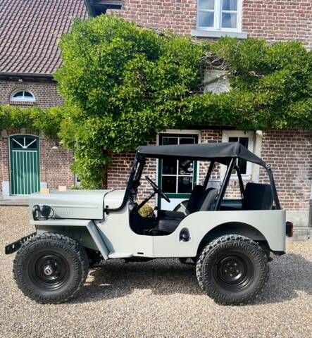 Afbeelding 1/20 van Willys CJ-3B (1956)