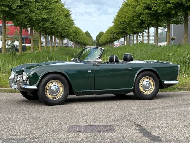 Bild 1/19 von Triumph TR 4 (1963)