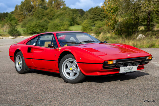 Image 1/65 de Ferrari 308 GTB (1978)