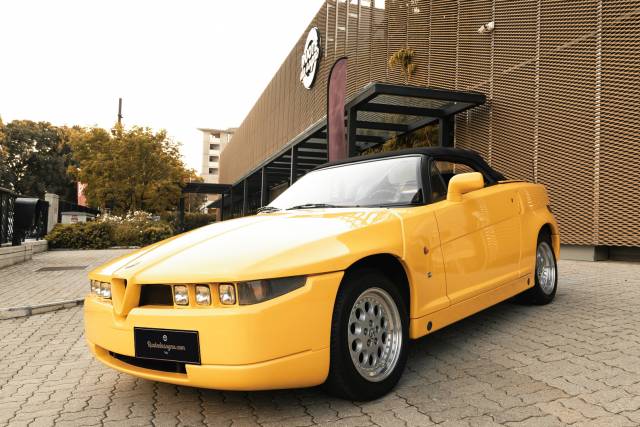 Bild 1/50 von Alfa Romeo RZ (1994)