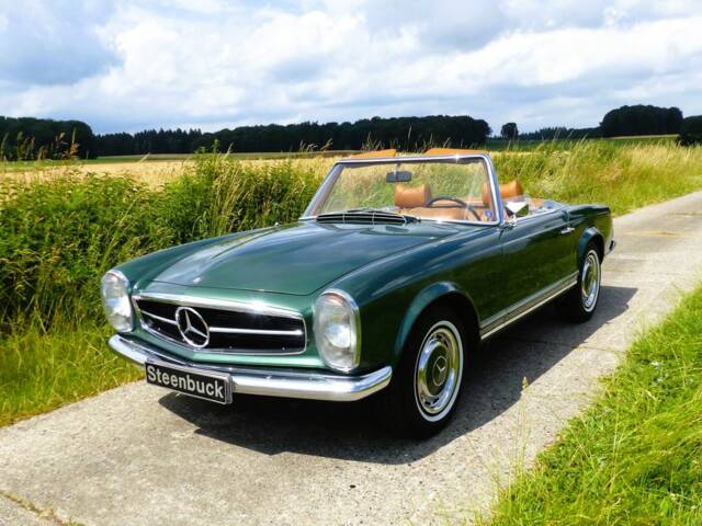 Bild 1/12 von Mercedes-Benz 280 SL (1969)