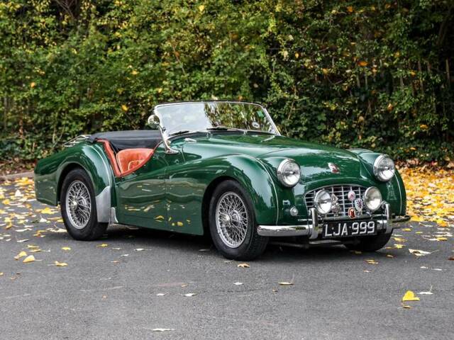 Bild 1/30 von Triumph TR 3 (1957)