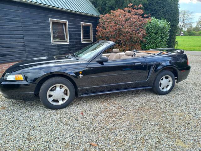 Bild 1/8 von Ford Mustang GT (2000)