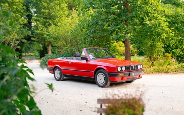 Immagine 1/33 di BMW 318i (1991)