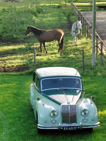 Image 1/13 of Armstrong-Siddeley Sapphire 346 (1955)