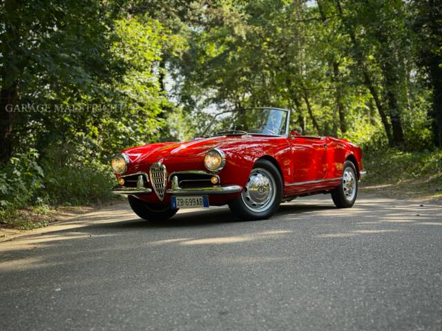 Bild 1/100 von Alfa Romeo Giulietta Spider (1957)