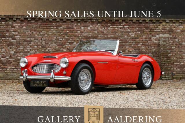 Bild 1/50 von Austin-Healey 100/6 (BN4) (1959)