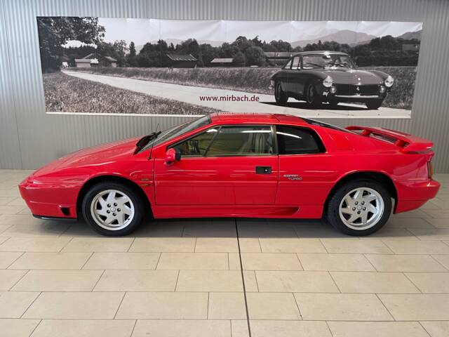 Image 1/18 de Lotus Esprit SE (1991)